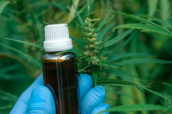 Quels sont les bienfaits du CBD dont vous n'avez peut-être pas connaissance ?