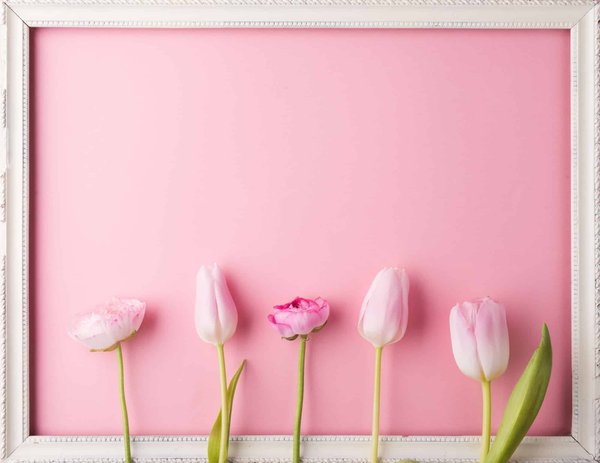 Les roses éternelles: les coups de cœur des amoureux